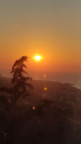 Ｋｙｏｊｕｒｏ 챔피언#bekir